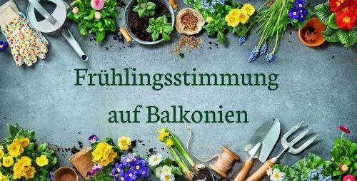 Frühlingsstimmung auf Balkonien – Balkonpflanzen fürs Frühjahr