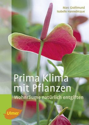 Prima Klima mit Pflanzen - Wohnräume natürlich entgiften