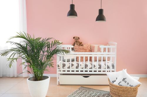 Pflanzen fürs Kinderzimmer – Palme neben einem Babybett im hellen Kinderzimmer