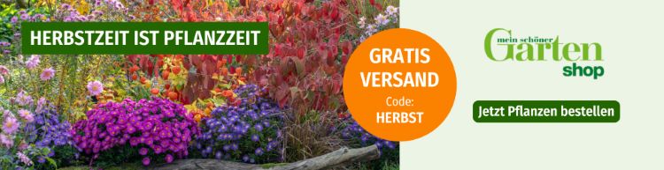 Banner: Mein schöner Garten Shop – Herbstzeit ist Pflanzzeit