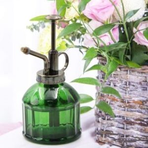 Sprühflasche für Pflanzen aus dunkelgrünem Glas